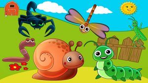 Learning Insects Names and Sounds