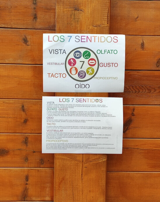carteles de los 7 sentidos pegados en una pared de madera de la escuela